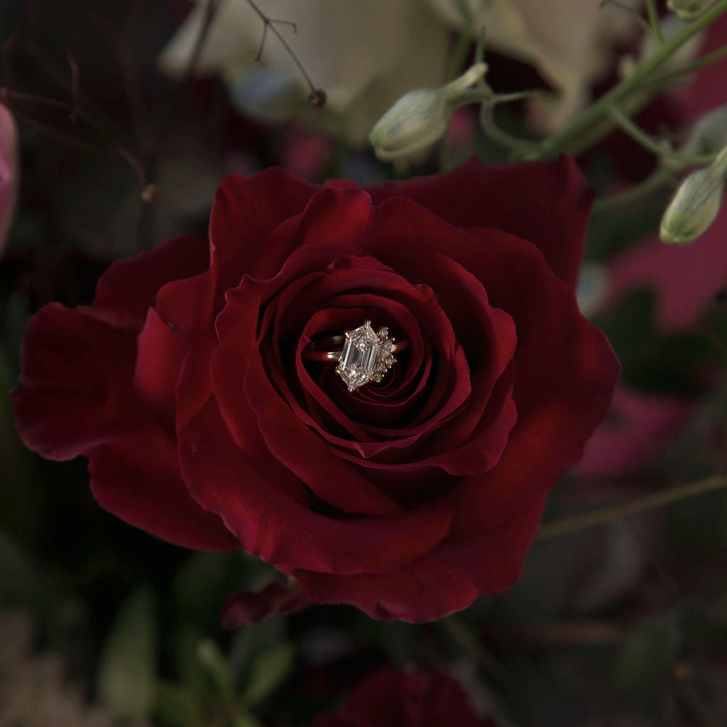 Close up of a red rose with a diamond ring nestled among the petals, designed by Invidiosa Jewelry 