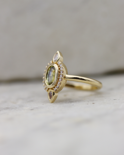 Elspeth 0.78ct Oval Cut Parti Sapphire and Diamond Halo Ring